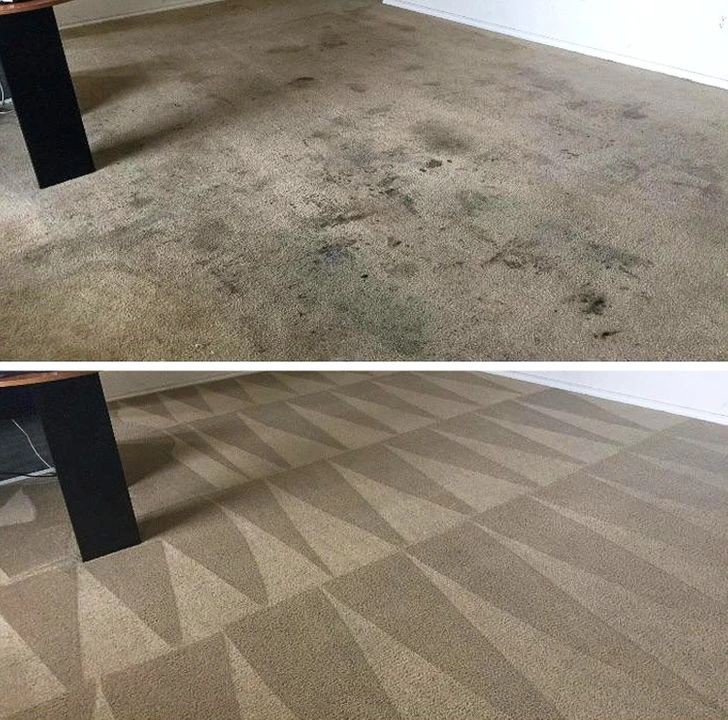 Cleaning Project
